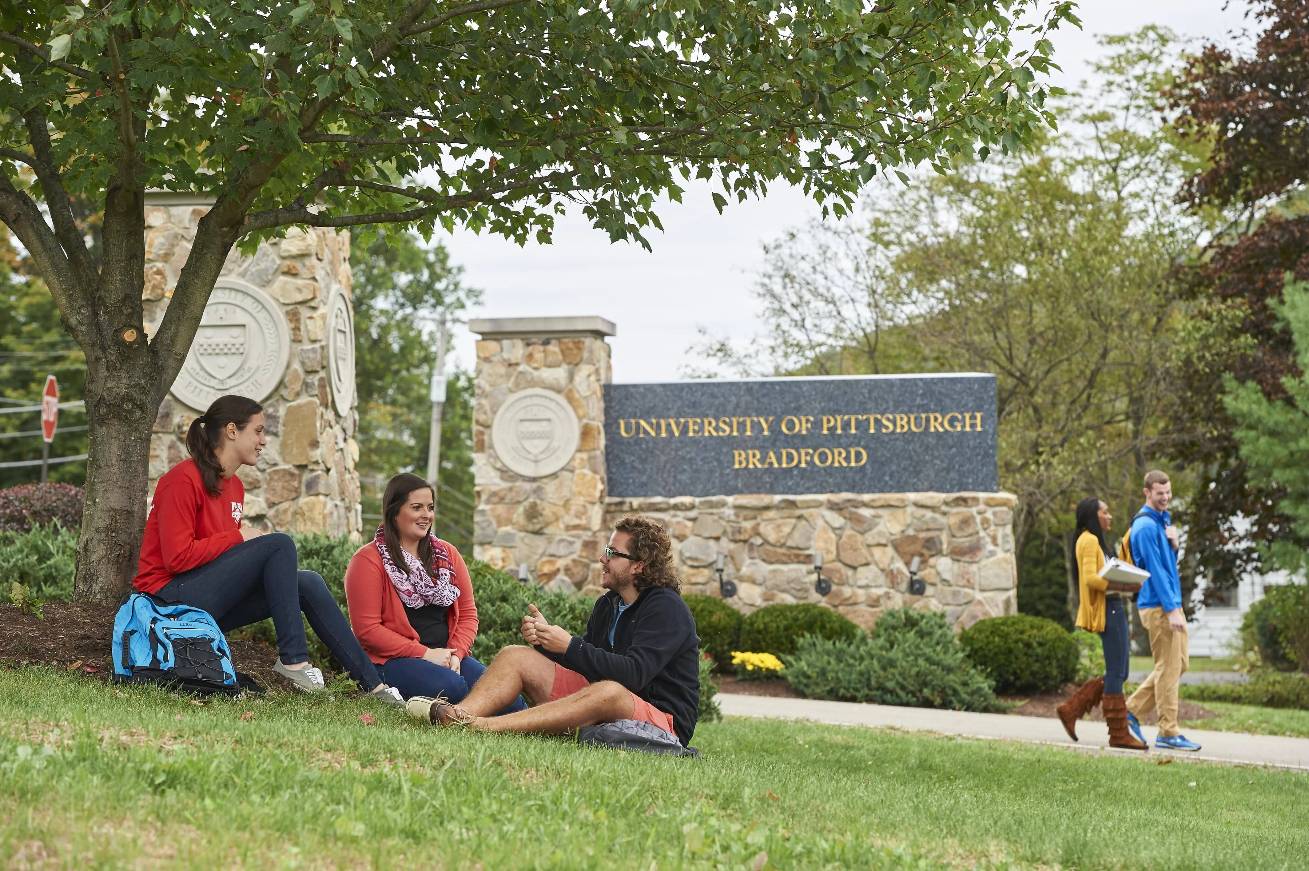 University of Pittsburgh-Bradford - College Profile, Admissions